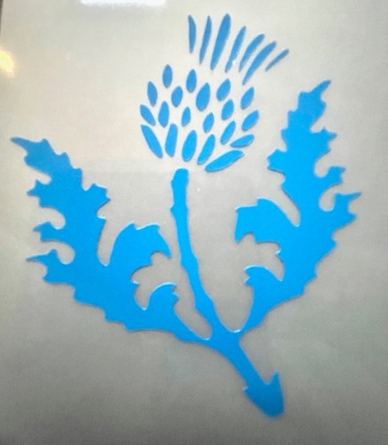 Scotland scottish thistle - scotland,