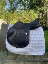 Bates Elevation DS+ 17"/43cm