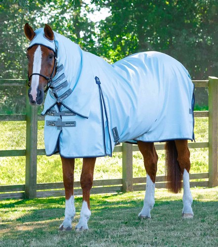 Premier equine buster - buster, sweet