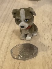 Puppy In My Pocket Corkie the