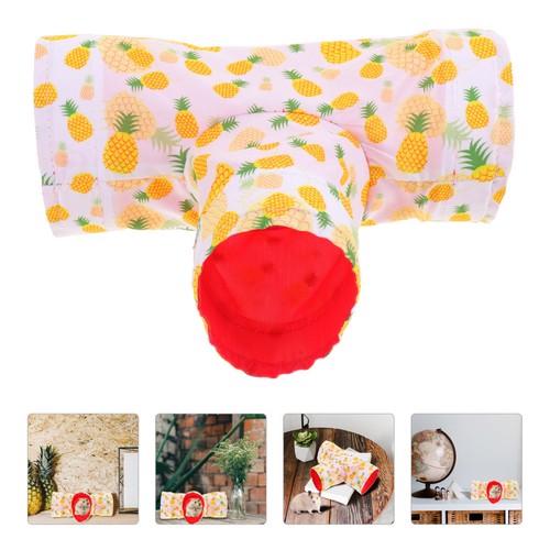 Guinea pig toys and - pig,