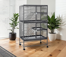 Rat Ferret Chinchilla Degu