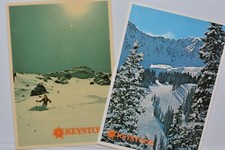 Lot of (2) Spring Skiing at