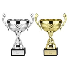 LARGE SILVER/GOLD PRESENTATION