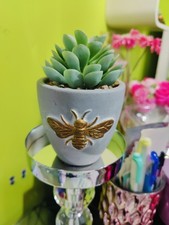 Ceramic bee planter - bee,