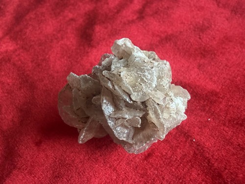 Small desert rose - desert, raw