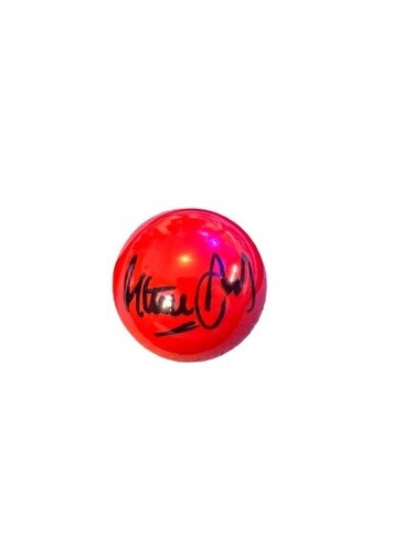 Snooker ball hand signed - ball, by