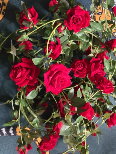 Red rose garlands string - rose,