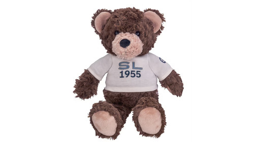 Mercedes benz teddy bear - mercedes-benz,
