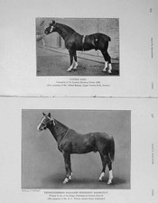 Original Old Antique Print