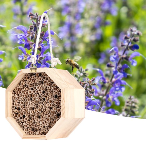 Awooden insect bee house - insect,