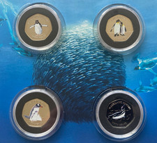 2017 Falkland Islands Penguins