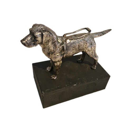 Louis lejeune guide - louis, dog