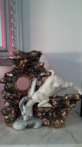 Coronetti cunardo goat - cunardo,