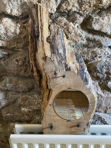 Live wood mirror - wood,