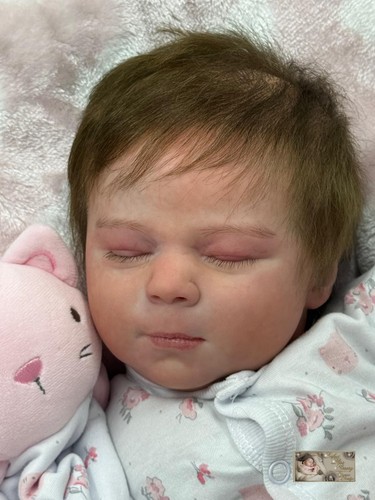 Pbn bargain reborn baby - bargain***,
