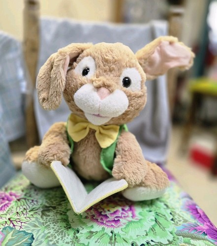 The adventure peter rabbit - adventure, of