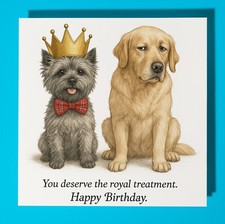 Cairn Terrier and Retriever