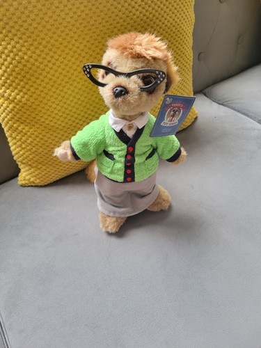Maiya meerkat compare the - compare,