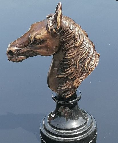 Incredible antique horse head - antique,