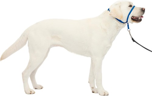 Petsafe gentle leader - petsafe,