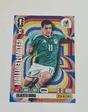 Panini Adrenalyn Xl Fifa World