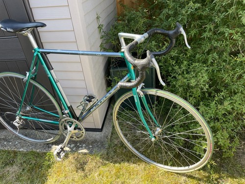 Raleigh mtrax 6000r road bike - mtrax,