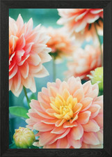 Beautiful flowers Framed Wall