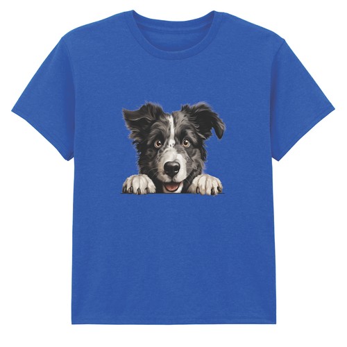 Border collie dog puppy - border,