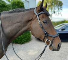 Anatomical leather bridle