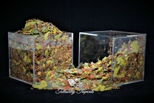 Premium tropical fish - tropical, flakes