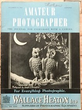 The Amateur Photographer