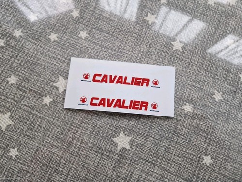 Scale waterslide cavalier - 1:18,