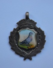 Pigeon Lovely Colour Enamel