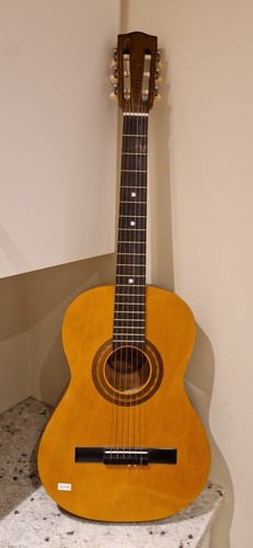 Encore enc36n guitar - encore, ideal