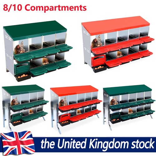 Compartment chicken - 8/10,