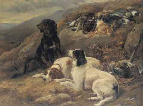 Heywood hardy setters with the - setters,