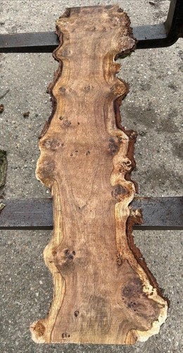 Live edge burr - burr, timber