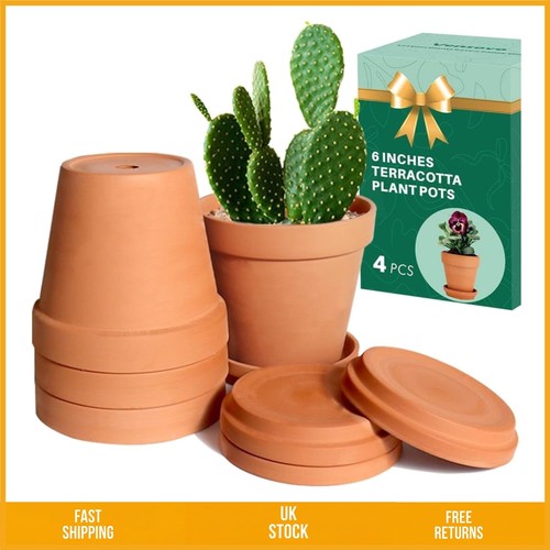 Terra cotta clay plant pot - cotta,