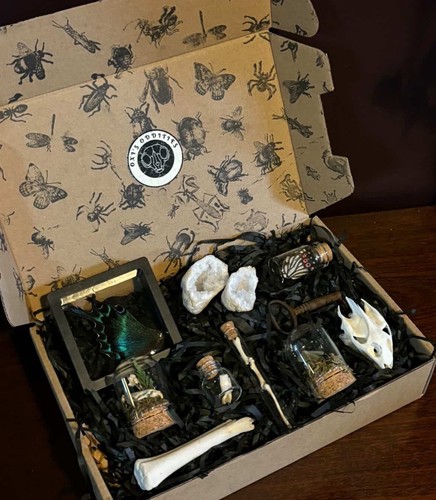 Gothic oddity box - box, oxi’s