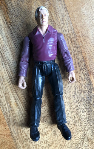 Jakks pacific wwe ric - jakks, in