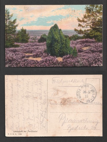 Germany field post celle - post, 1915