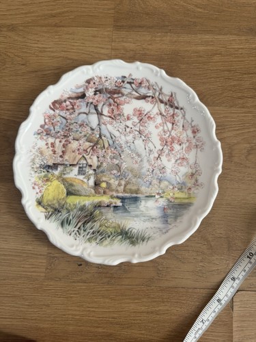Royal kent china display - china,