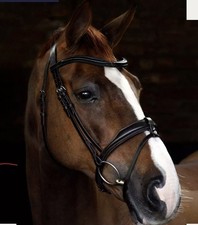 Full Size Cottage Craft Padded Black Bridle