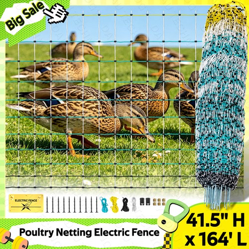 Sturdy poultry netting - sturdy,