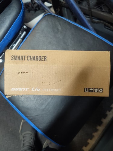 Giant smart charger - giant, with