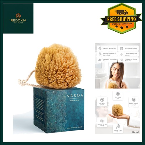 Natural sea sponge exfoliating - natural,