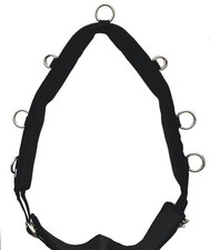 Rhinegold Nylon Padded Lunging