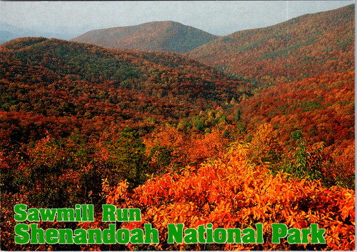 Vintage postcard sawmill run - vintage,