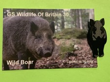 None RSPB Badges GS Collection